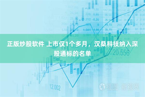 正版炒股软件 上市仅1个多月，汉桑科技纳入深股通标的名单