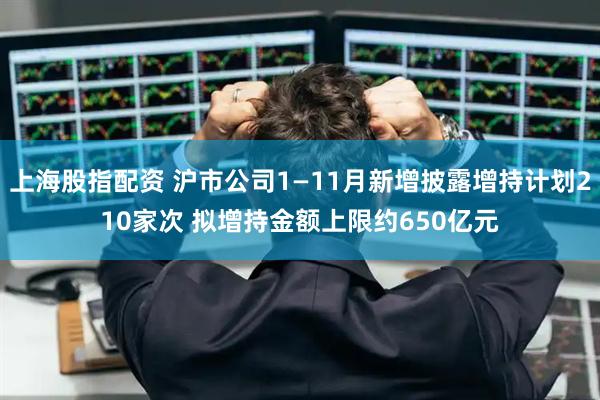 上海股指配资 沪市公司1—11月新增披露增持计划210家次 拟增持金额上限约650亿元